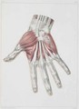 Musculature of the hand - (after) Jacob, Nicolas Henri