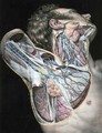 Cross section of the right hand side of the face and neck - Nicolas Henri Jacob