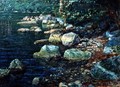 River Scene in Palazzuolo - Alexander Ivanov