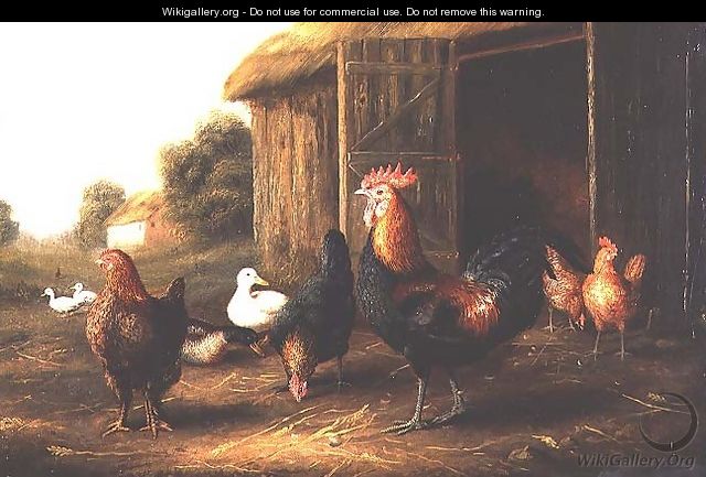 Chickens and Ducks in a Farmyard - A. Jackson