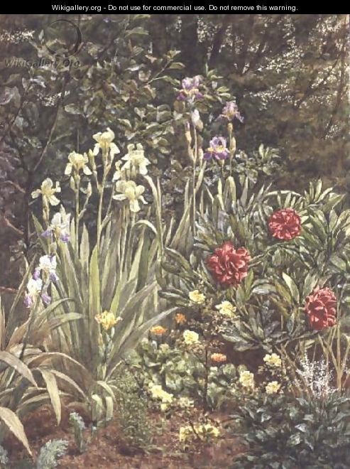 A Corner of the Garden - Frederick William Jackson