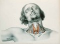 Cross section of the throat - Nicolas Henri Jacob