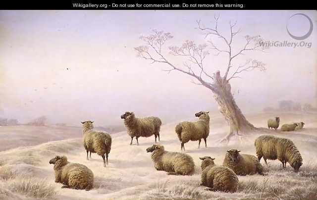 Sheep in Snow - Charles Jones
