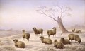 Sheep in Snow - Charles Jones