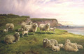 Sheep on a Dorset Coast - Charles Jones