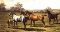 Horses and Foal in a Field - Charles Jones