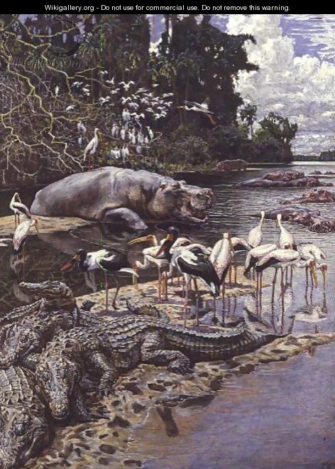 Swamp Animals and Birds on the River Gambia - Harry Hamilton Johnston