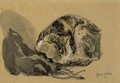 Study of a Cat - Gwen John