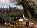 Mallard Ducks with their Ducklings - Carl Jutz