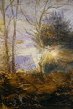 Sunrise Abinger Surrey - James Holland