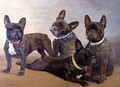 Four French Bulldogs - F. Mabel Hollams
