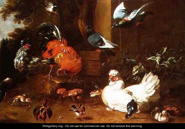 Poultry in Parkland - (attr. to) Hondecoeter, Melchior de