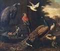 Birds in a landscape - (attr. to) Hondecoeter, Melchior de