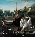 A Park with Swan and Other Birds - Melchior de Hondecoeter