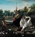 A Park with Swan and Other Birds - Melchior de Hondecoeter