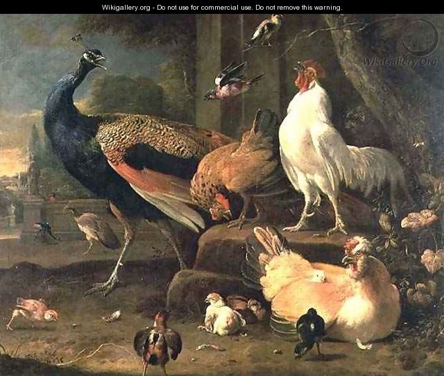 Poultry - Melchior de Hondecoeter