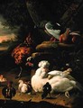 A hen with chicks a rooster and pigeons in a landscape - Melchior de Hondecoeter