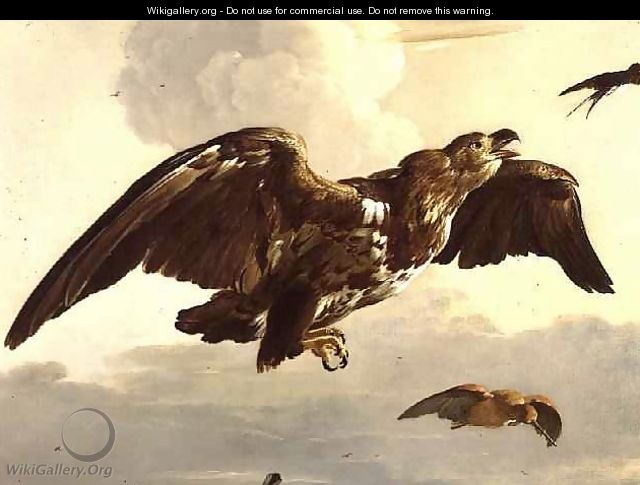 An Eagle and a Swallow in Flight - Melchior de Hondecoeter