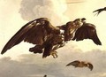 An Eagle and a Swallow in Flight - Melchior de Hondecoeter