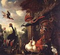 A peacock peahen and other exotic birds and poultry on a Terrace - Melchior de Hondecoeter