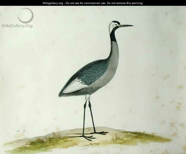 A Crane - Pieter the Younger Holsteyn