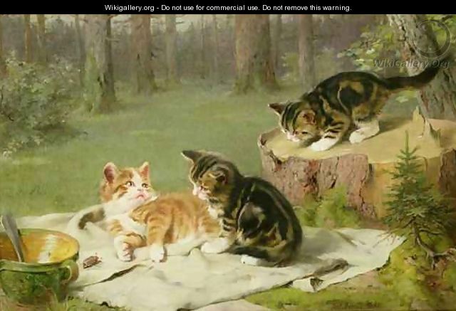Kittens Playing - Ewald Honnef