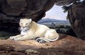 Lioness - Samuel Howitt