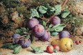Plums Strawberries and a Pear on a Mossy Bank - William B. Hough