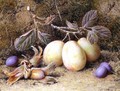 Still Life with plums and nuts - William B. Hough