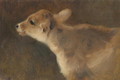 A Calf - George W. Horlor