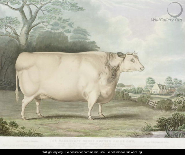 The Habertoft Short Horned Prize Cow - (after) Hubbard, B.