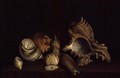 Still Life of Shells on a Ledge - Louis Hubner