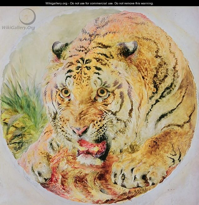 Tigers Head - William Huggins