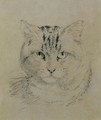 Tabby Cat - William Huggins