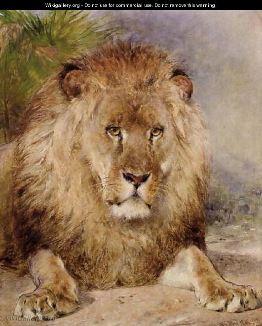 Lion 2 - William Huggins