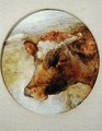 Head of a Longhorn Cow - William Huggins