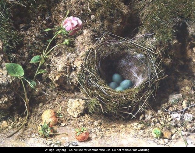 Still life with birds nest - William Henry Hunt