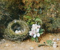 Birds Nest with Sprays of Apple Blossoms - William Henry Hunt