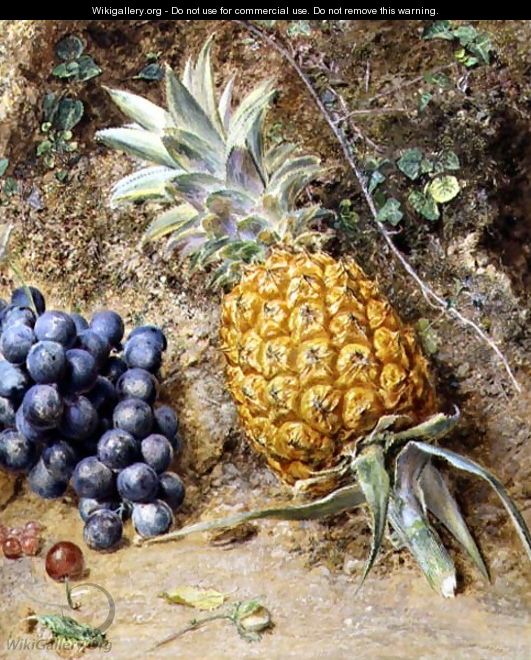 Grapes and a Pineapple - William Henry Hunt
