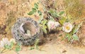Still Life with Chaffinch Nest - William Henry Hunt
