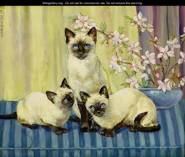 Three Siamese Cats - Winifred Humphery