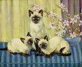 Three Siamese Cats - Winifred Humphery