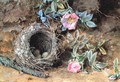 Wild Roses and Birds Nests - William Henry Hunt