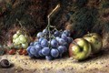 Still Life of Fruit - William Henry Hunt