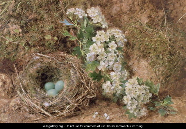May Blossom and a Hedge Sparrows Nest - William Henry Hunt