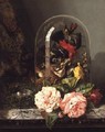 Still Life with Humming Bird in a Glass Dome - Edward Ladell