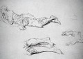 Study of a man lying on the ground - Nicolas Lancret