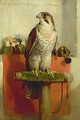 Falcon - Sir Edwin Henry Landseer