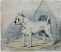 Dog Outside a Kennel - Sir Edwin Henry Landseer