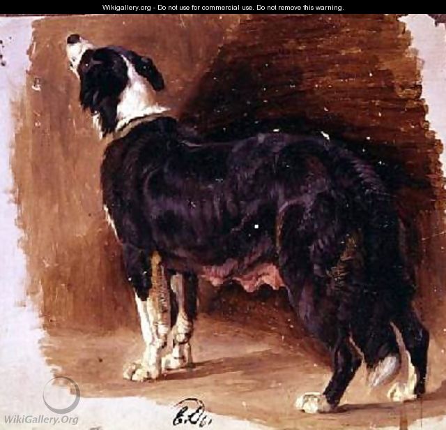 Sketch of a Collie - Sir Edwin Henry Landseer